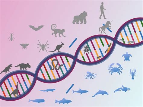 Molecular evolution and genetic diversity analysis of.